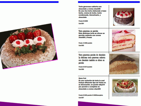 Catalogo de presentacion